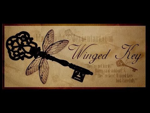 Видео: Hogwarts Legacy: Все 16 Хитроумных ключей, где найти и как получить