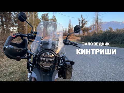 Видео: Мотопутешествие по грузинскому заповеднику Кинтриши в январе