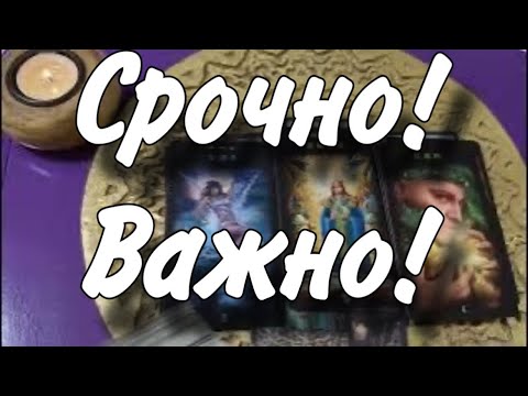 Видео: ❗ОЧЕНЬ ТОЧНО 💯% КОГДА  И В ЧЕМ 🕊️ ЖДАТЬ ПЕРЕМЕН❓