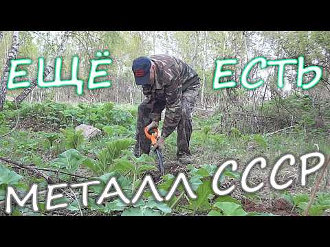 Видео: Нашёл металл на заброшенной Ферме времён СССР