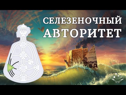 Видео: ⚙️ Селезеночный авторитет в бодиграфе. Как Жить ? Спонтанный авторитет. Дизайн Человека Human Design