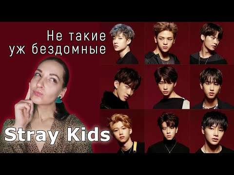 Видео: Не такие уж бездомные😏 || Обзор на "Stray Kids" ep.1