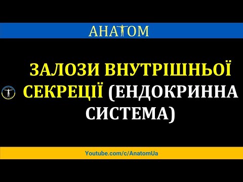 Видео: ЕНДОКРИННІ ЗАЛОЗИ (ЕНДОКРИННА СИСТЕМА)