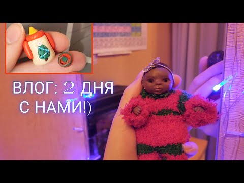 Видео: ВЛОГ на 2 ДНЯ с мини реборном / ПОПОЛНЕНИЕ !?