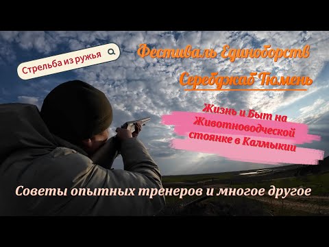 Видео: Как Мы Проводили Время в Элисте