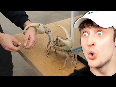 Видео: 22 момента «Как это возможно?»