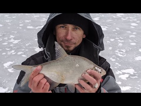 Видео: ЗИМНЯЯ РЫБАЛКА.КАК ЛОВИТЬ ЛЕЩА НА МОРМЫШКУ.
