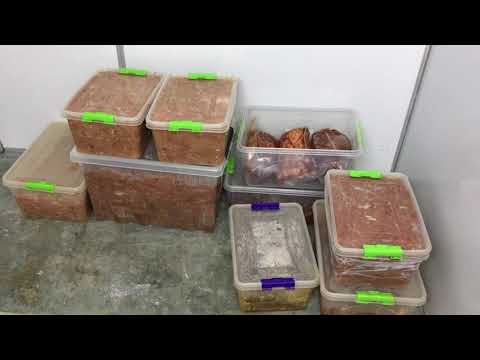 Видео: Модернизация производства сыровяленого мяса и обзор цеха. Утепление цеха.