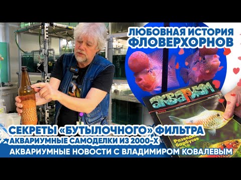 Видео: ✌️Аквариумные новости с Владимиром Ковалевым (17.02.2024). Раскрываем секреты!