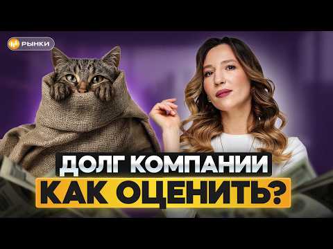 Видео: Кот в мешке: как проверить ДОЛГ компании? // Простая инструкция для оценки эмитента