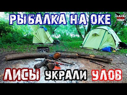 Видео: РЫБАЛКА с НОЧЕВКОЙ НА ОКЕ ОТДЫХ С ПАЛАТКОЙ! ЛИСЫ! Рыбалка на фидер. Ловля леща