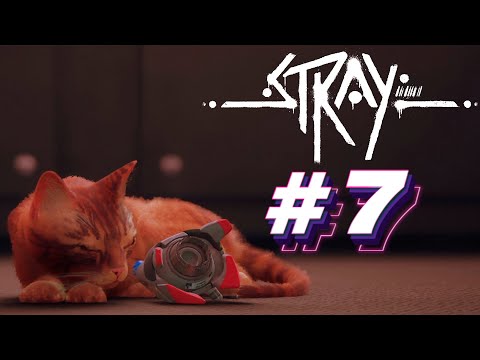 Видео: Прохождение Stray #7 - ЛУЧШИЙ ДРУГ