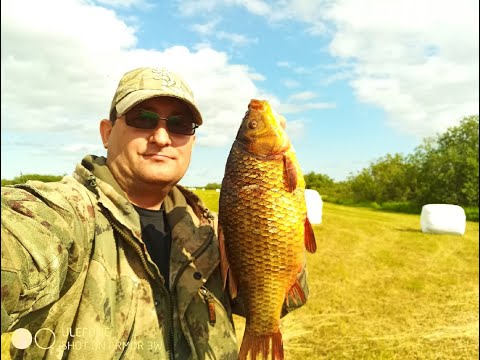 Видео: РЫБАЛКА НА КАРАСЯ / РЫБАЛКА СЕТЯМИ НА КРАЙНЕМ СЕВЕРЕ