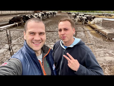 Видео: Растениеводство у животноводства. Ильнур Халитов и его люцерна.