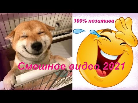 Видео: Приколы и смешное видео 2021   3