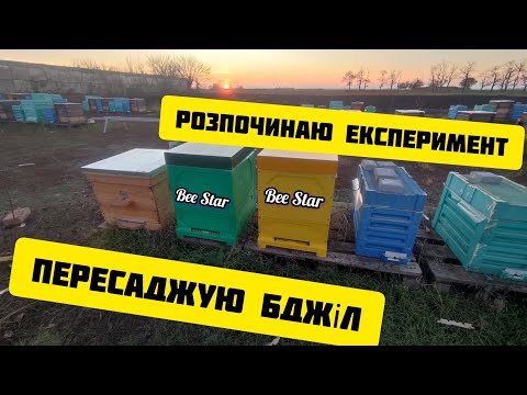 Видео: ✅Заселяю теплі вулики для експерименту