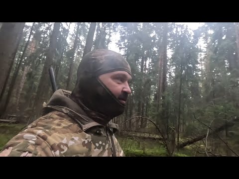 Видео: ОХОТА НА РЯБЧИКА В ПОДМОСКОВЬЕ  В шоке от увиденного