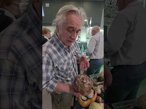 Видео: В гостях у Тодора Тодорова)