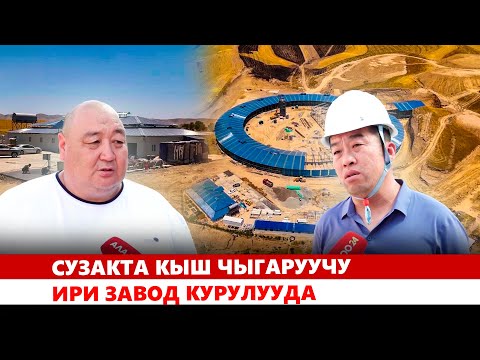 Видео: Сузакта кыш чыгаруучу ири завод курулууда