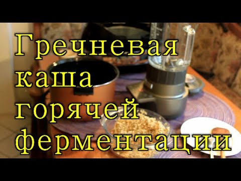 Видео: Юрий Кривобок Гречневая каша горячей ферментации