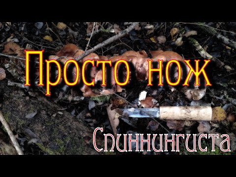 Видео: Просто нож. Небольшой обзор.