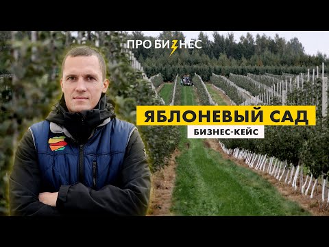 Видео: Бизнес-кейс: Современный яблоневый сад. Как все устроено?