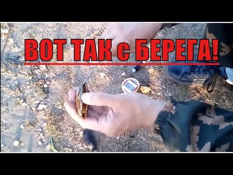 Видео: Универсальная наживка на сома печень,ракушка. Почему именно так!