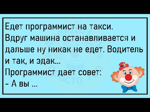 Видео: 🔥У Кинолога Родилась Тройня...Большой Сборник Весёлых Анекдотов,Для Супер Настроения!