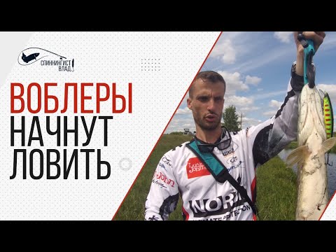 Видео: Твичинг. Воблеры для новичков, проводка, снасть.