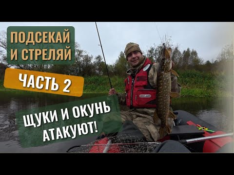 Видео: Подсекай и стреляй — Щука и окунь атакуют КОПЫТО, ЧАСТЬ 2! #6