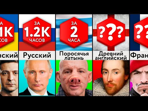 Видео: Простейшие В Изучении Языки