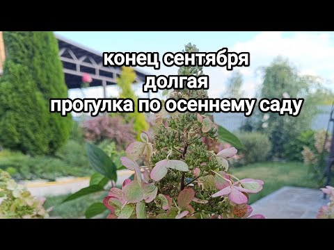 Видео: Конец сентября/ В САДУ ОСЕНЬ🍂, что сделано за лето/ НЕБОЛЬШИЕ итоги в БОЛЬШОЙ прогулке