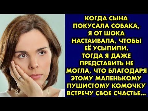 Видео: Когда сына покусала собака, я от шока настаивала чтобы её усыпили. Тогда я даже представить не могла