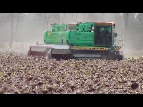 Видео: Начало уборки подсолнечника 2018