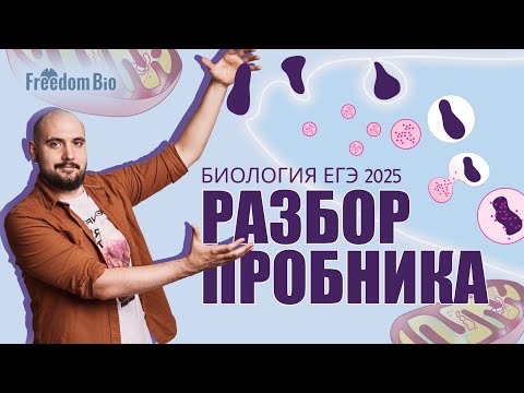 Видео: РАЗБОР ОКТЯБРЬСКОГО ПРОБНИКА Freedom bio| ЕГЭ БИОЛОГИЯ 2025|Freedom|