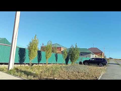 Видео: Ам жалау ❤️ күшті сікісу болды