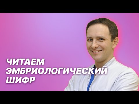 Видео: Тайна пляшущих человечков. Читаем эмбриологический шифр. Все про обозначения в эмбриопротоколах.