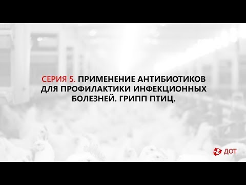 Видео: Джавадов Э.Д.: Антибиотикопрофилактика инфекционных болезней птиц. Грипп птиц.
