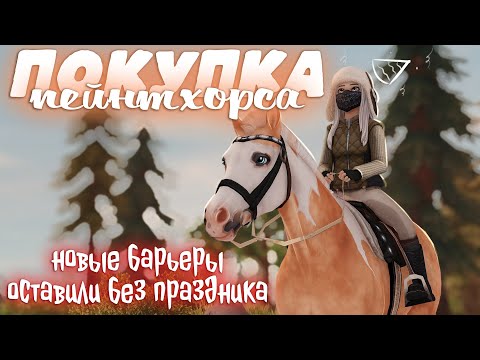 Видео: ОСТАВИЛИ БЕЗ ПРАЗДНИКА | ПОКУПКА ПЕЙНТХОРСА | STAR STABLE