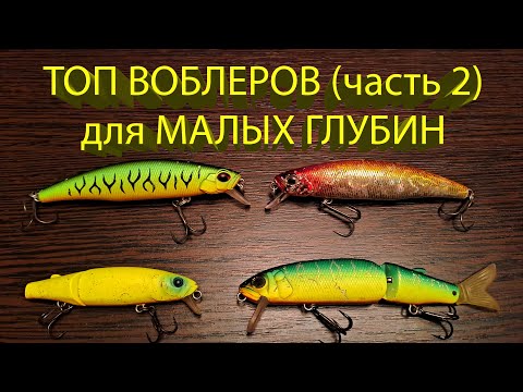Видео: 🔥 Обзор ВОБЛЕРОВ на щуку для МЕЛКОВОДЬЯ (часть 2). Дуо Тайд минноу 90, Тсуеки Гот или Магаллон? 🔥
