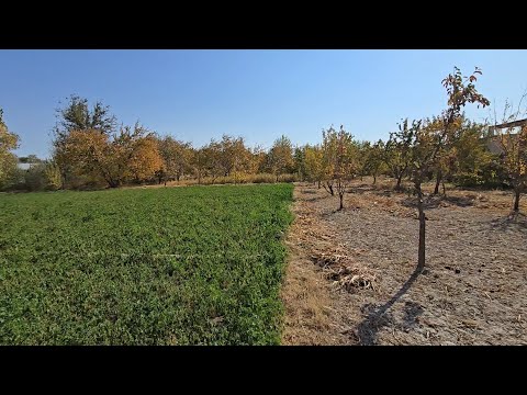 Видео: ЗУДЛИК БИЛАН ЖОЙ УРИН СОТИЛАДИ ГАЗ СВЕТ СУВ БОР АРЗОН НАРХДА ПУЛ ЗАРУР 14.10.2025