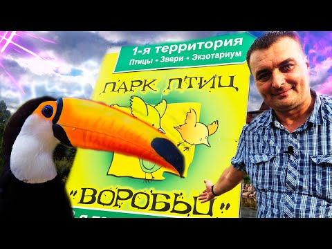 Видео: Парк птиц. Калужская область.