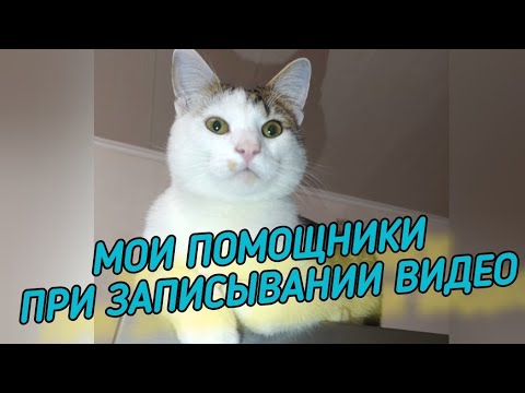 Видео: ОБЗОР моих ПОМОЩНИКОВ при ЗАПИСЫВАНИИ видео!!