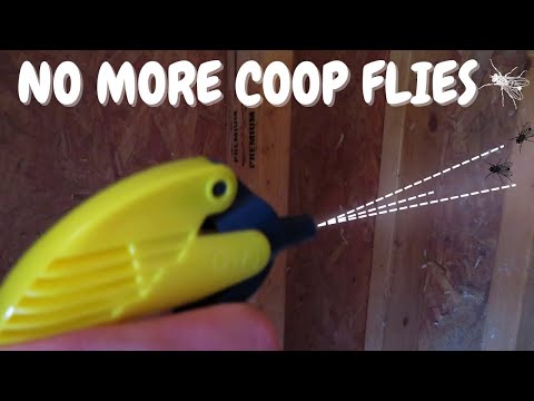 Видео: Никаких мух в курятнике | Натуральный спрей для курятников