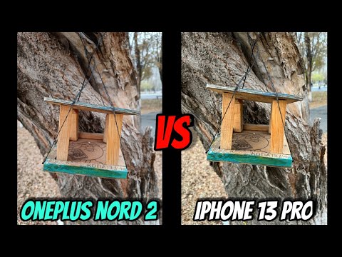 Видео: А ВДРУГ? Oneplus Nord 2 vs IPhone 13 Pro | Тест камер