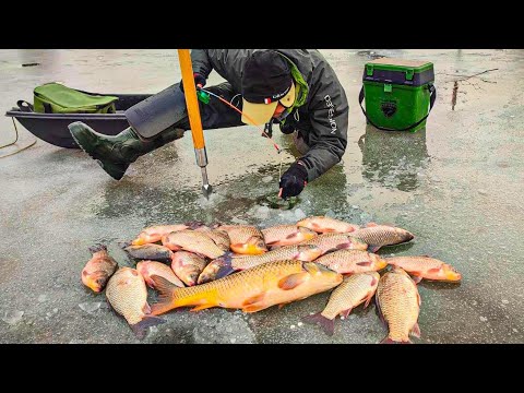 Видео: КАРАСІ КОНІ Давлять так що не ВТРИМАТИ, Правильний вибір ЛУНКИ, Рибилка 2023