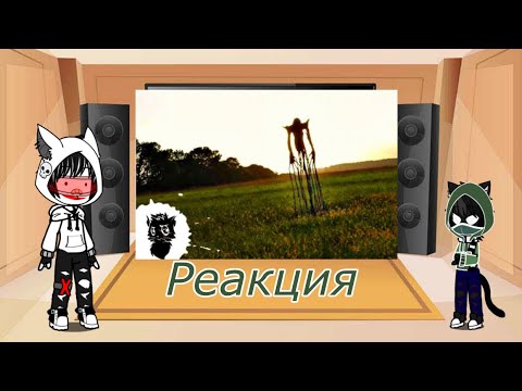 Видео: ￼ реакция на видео чёрный кот и его городские легенды