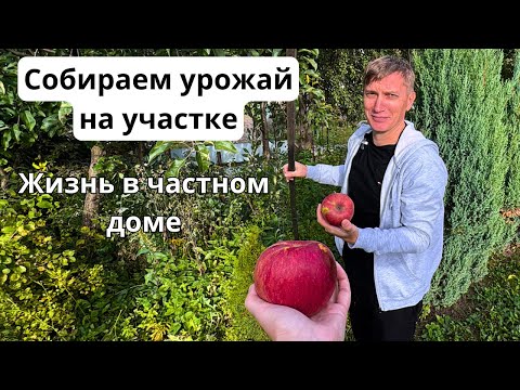 Видео: Собираем последний урожай на участке/ НАША ЖИЗНЬ ЗА КАДРОМ/ Готовим соки из овощей