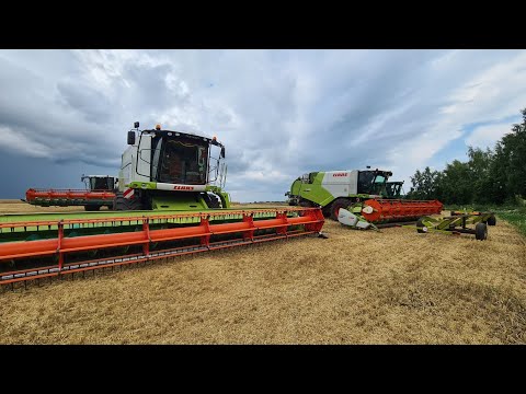 Видео: начало уборочной 2022 г.claas tucano 580.немного обо всем.