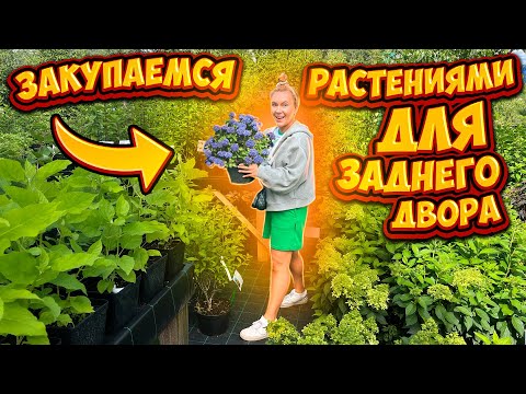 Видео: ЗАКУПАЕМСЯ РАСТЕНИЯМИ ДЛЯ ЗАДНЕГО ДВОРА! ЛЕТНИЙ ШОППИНГ!